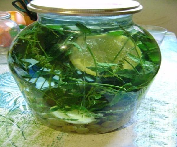 โมจิโต้ผลไม้รวมรสมะยมสำหรับฤดูหนาว