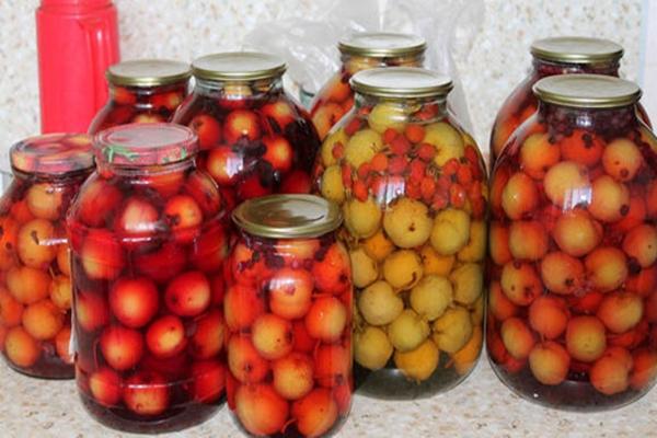 ตัวเลือกการเตรียมตัวสำหรับฤดูหนาว "ฤดูใบไม้ร่วง"