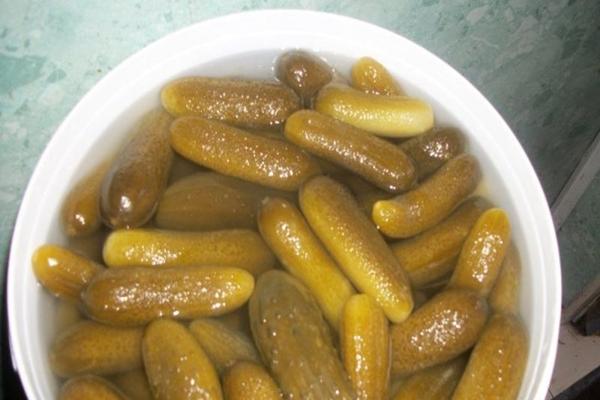 décapage des concombres dans un seau par la méthode à froid