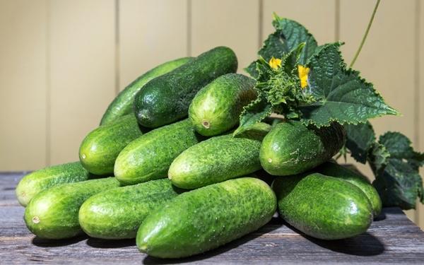 แตงกวาเจอราซิม