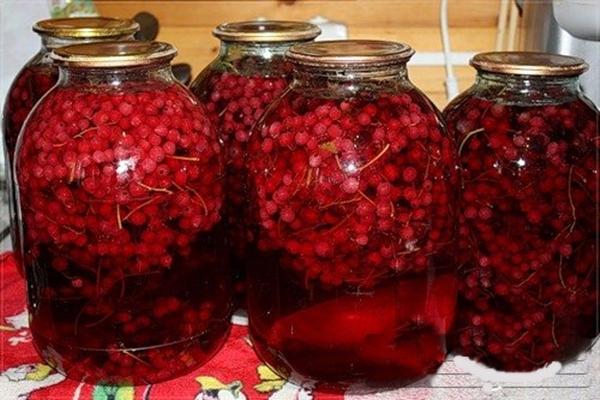 groseilles rouges pour préparer l'hiver