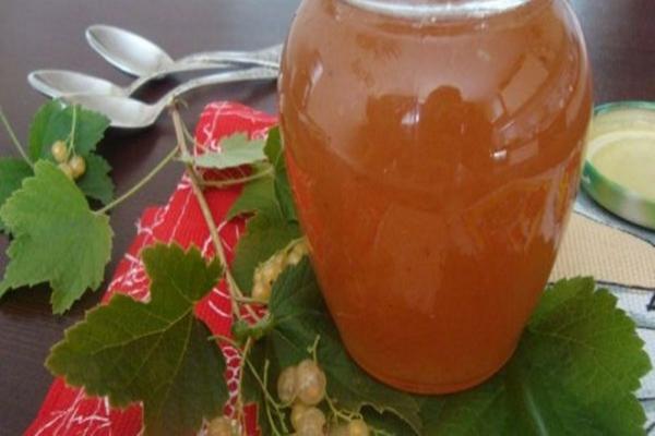 confiture de groseilles blanches