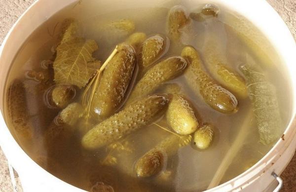 décapage des concombres dans un seau par la méthode à froid