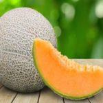 Princesse Mary Melon