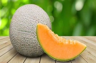 เจ้าหญิงแมรี่เมลอน