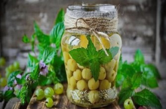 โมจิโต้ผลไม้รวมรสมะยมสำหรับฤดูหนาว