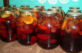 ผลไม้รวมแช่อิ่มสำหรับฤดูหนาว