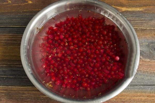Groseilles rouges écrasées au sucre pour l'hiver : une recette