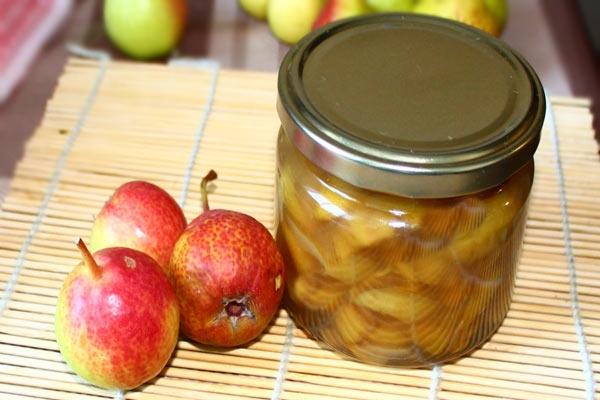 Recette à base de champignons sauvages