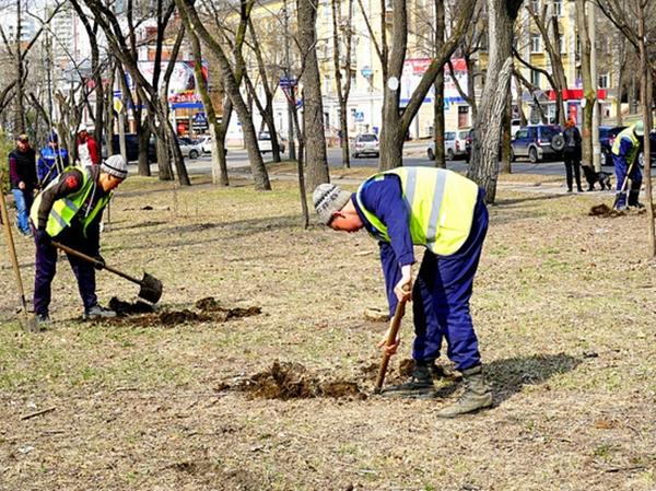 การปลูกต้นไม้เล็ก