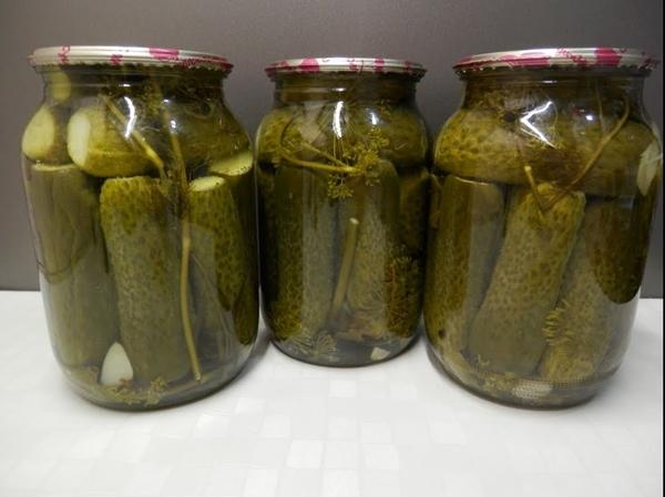 décapage des concombres dans un seau par la méthode à froid