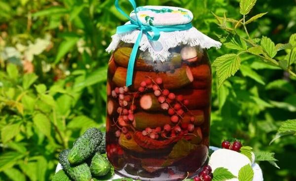 การเตรียมอาหารที่แสนอร่อยด้วยลูกเกดแดง