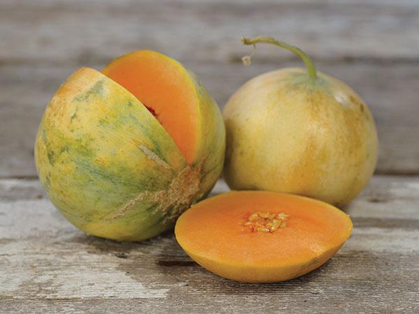 ชารองต์