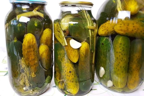 décapage des concombres dans un seau par la méthode à froid