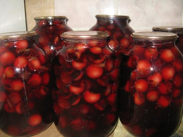 มีหนามดำและเชอร์รี่พลัม