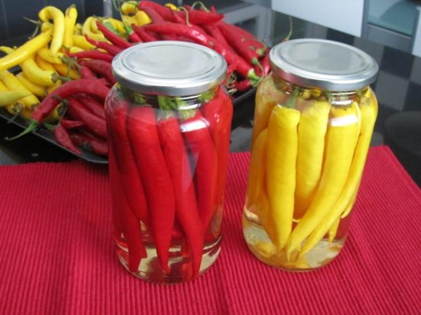 Gousses amères salées entières au miel