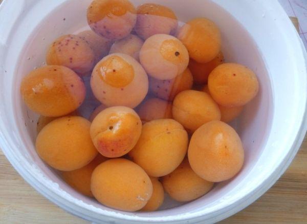 แอปริคอตในน้ำ