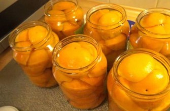 ผลไม้ในน้ำเชื่อม