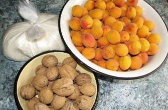 แอปริคอตและถั่ว