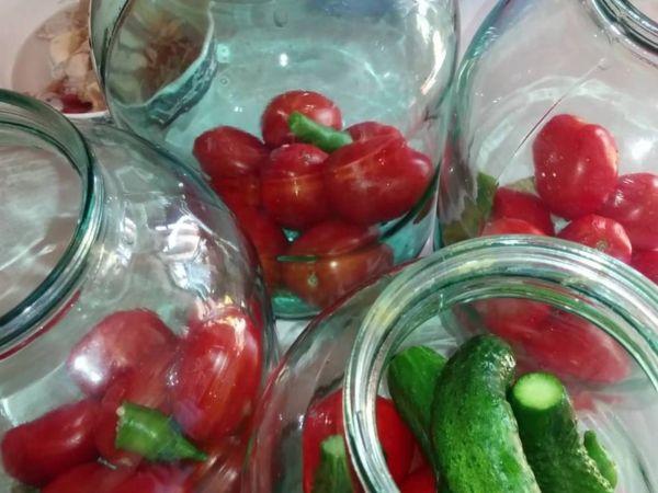 concombres et tomates