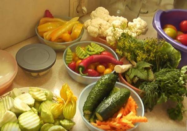 แปลงสวนอันอุดมสมบูรณ์หลากหลาย