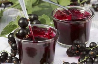 การเตรียมลูกเกด