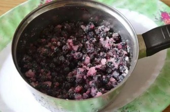 บลูเบอร์รี่กับน้ำตาล