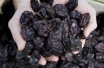 ลูกพลัมสีดำ