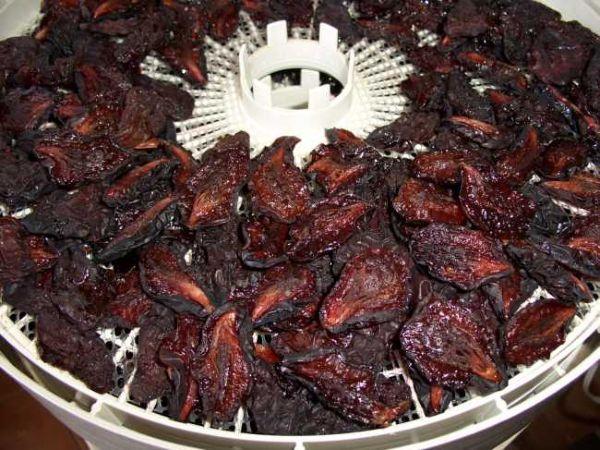 ลูกพรุนบนเครื่องอบผ้า