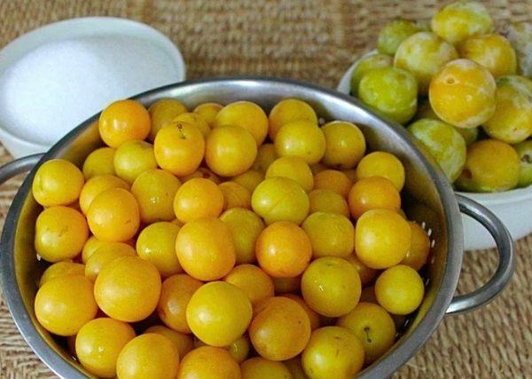 prune cerise pour confiture