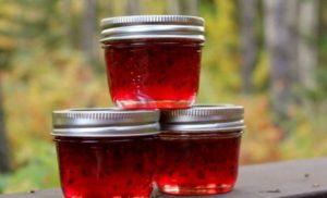 20 recettes simples étape par étape pour préparer de la confiture de groseilles pour l'hiver