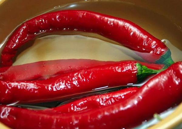 พริกขี้หนู