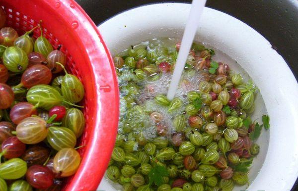 การเตรียมลูกเกด