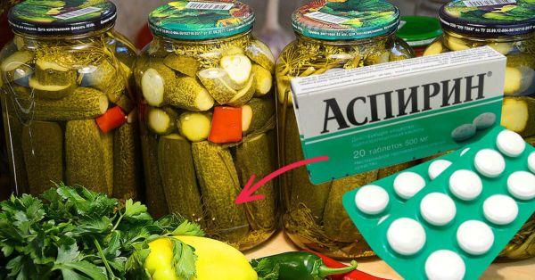 แตงกวากับแอสไพริน