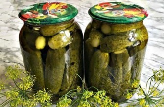 แตงกวากับวอดก้า