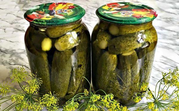 แตงกวากับวอดก้า