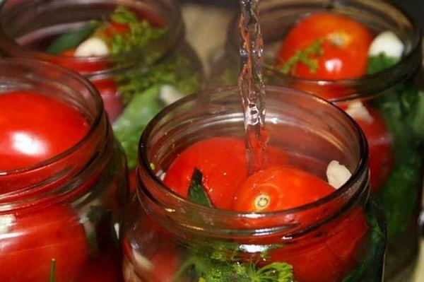 tomates pour l'hiver