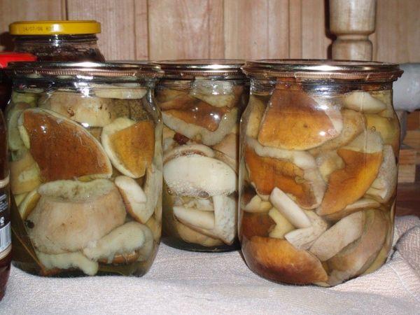 การเตรียมเห็ด