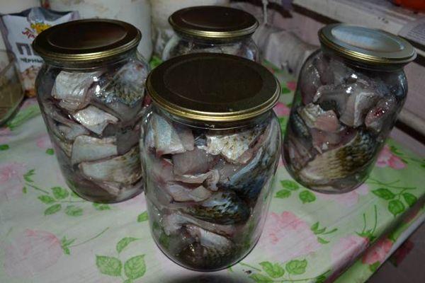 ปลากระป๋อง