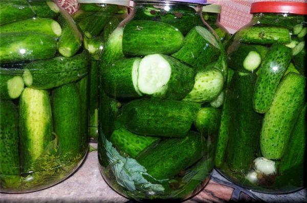 อาหารเรียกน้ำย่อยสำหรับผู้ใหญ่