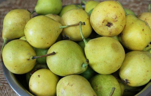 ชามลูกแพร์