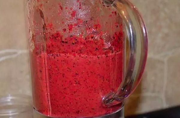 baies de sorbier dans un mixeur