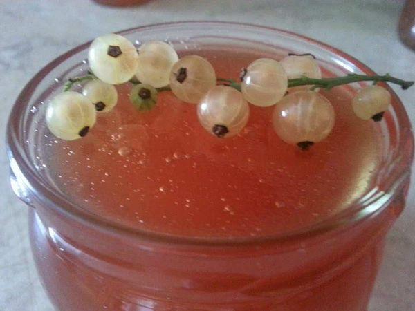 gelée de groseille