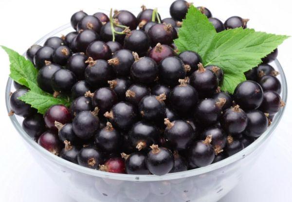 ลูกเกดเบอร์รี่