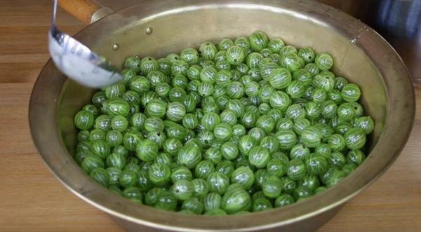 ลูกเกดเขียว