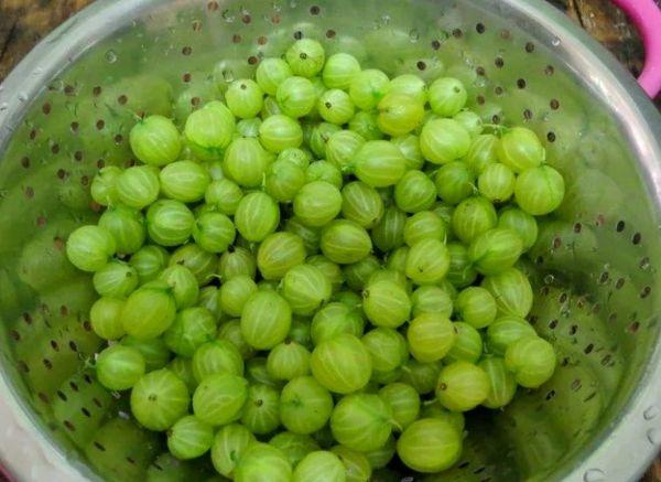 ผลเบอร์รี่ที่ล้างแล้ว