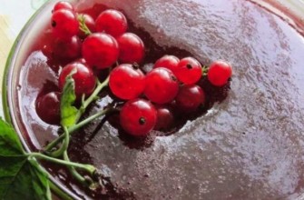 น้ำซุปข้นลูกเกดแดง