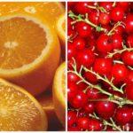 groseilles et oranges