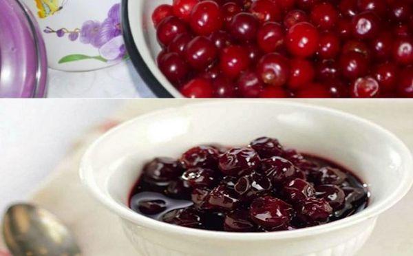 เบอร์รี่สำหรับฤดูหนาว