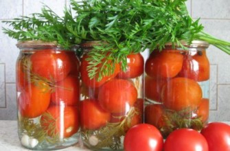 มะเขือเทศมียอด